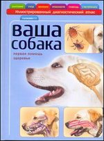 Ваша собака