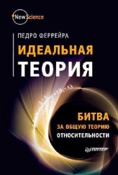 Идеальная теория. Битва за общую теорию относительности