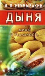 Дыня. Мифы и реальность