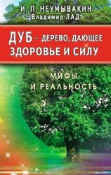 Дуб - Дерево, дающее здоровье и силу. Мифы и реальность