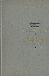 Зимний ветер. Маленькая железная дверь в стене  (Книга не новая, состояние удовлетворительное)