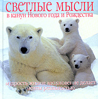 Светлые мысли в канун Нового года и Рождества. Мудрость жизни: вдохновение делает мечты реальностью