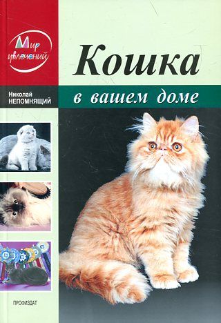 Кошка в вашем доме