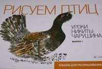 Рисуем птиц.Уроки Никиты Чарушина