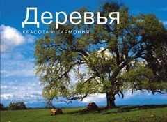 Деревья. Красота и гармония