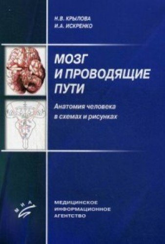 Мозг и проводящие пути. Анатомия человека в схемах и рисунках: Учебное пособие