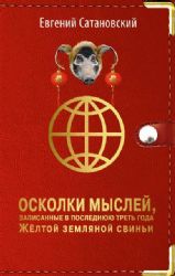 Осколки мыслей, записанные в последнюю треть года Желтой Земляной Свиньи