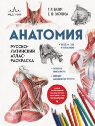 Анатомия: русско-латинский атлас-раскраска (новое оформление, новый формат)