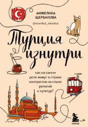 Турция изнутри. Как на самом деле живут в стране контрастов на стыке религий и культур? (дополненное издание)