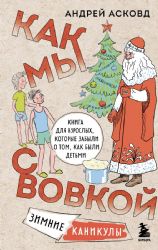 Как мы с Вовкой. Зимние каникулы. Книга для взрослых, которые забыли о том, как были детьми