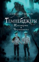 Темнейджеры. Каникулы в Чернолесье