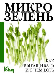 Микрозелень. Как выращивать и с чем есть