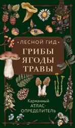 Лесной гид: грибы, ягоды, травы. Карманный атлас-определитель