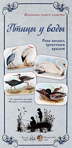 МС. Птицы у воды. Реки касаясь трепетным крылом