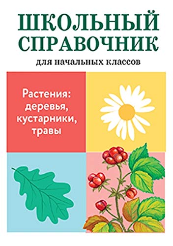 Растения:деревья,кустарники,травы