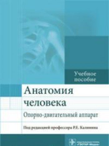 Анатомия человека.Опорно-двигательный аппарат