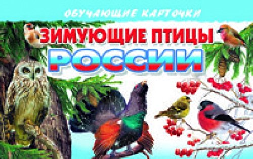 Зимующие птицы России