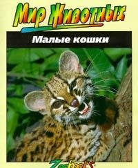 Малые кошки