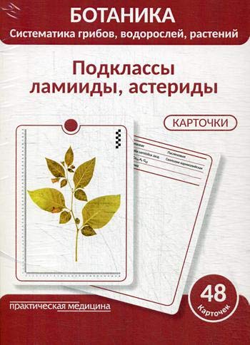 Ботаника.Подклассы ламииды,астер.КАРТОЧКИ (48 шт)