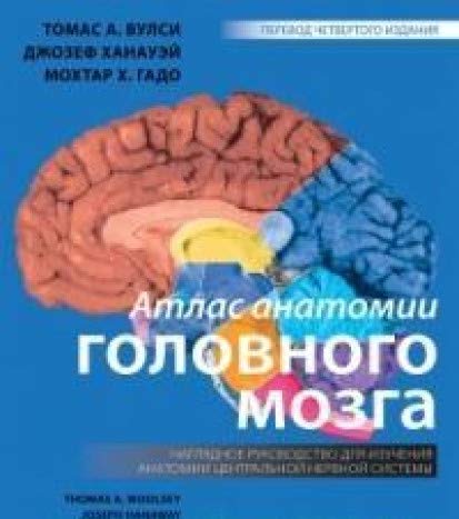 Атлас анатомии головного мозга Наглядное руков-во