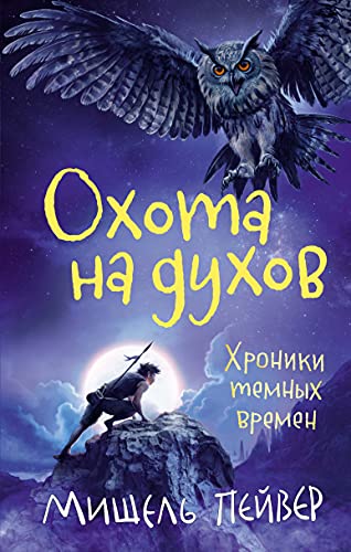 Хроники темных времен. Кн.6. Охота на духов