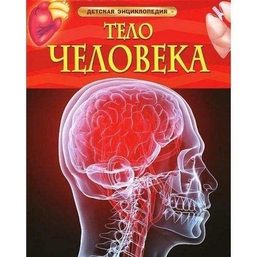 Тело человека