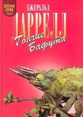 Гончие Бафута