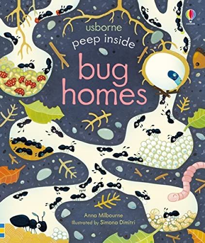 Peep Inside Bug Homes  (board bk)