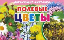 Полевые цветы