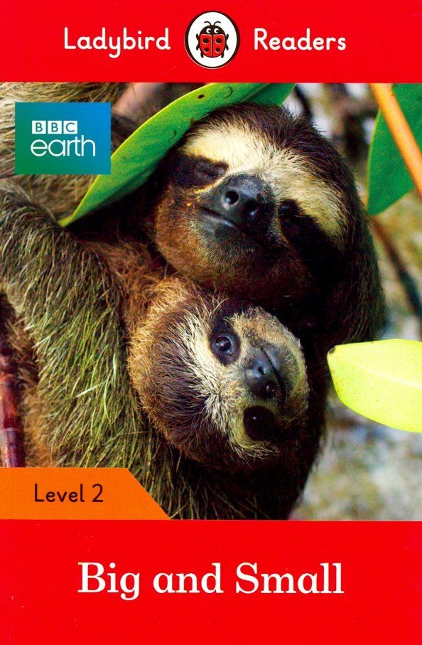 BBC Earth: Big and Small  (PB) +downloadable audio