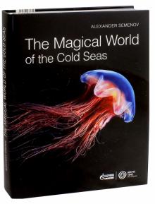 The Magical World of the Cold Seas