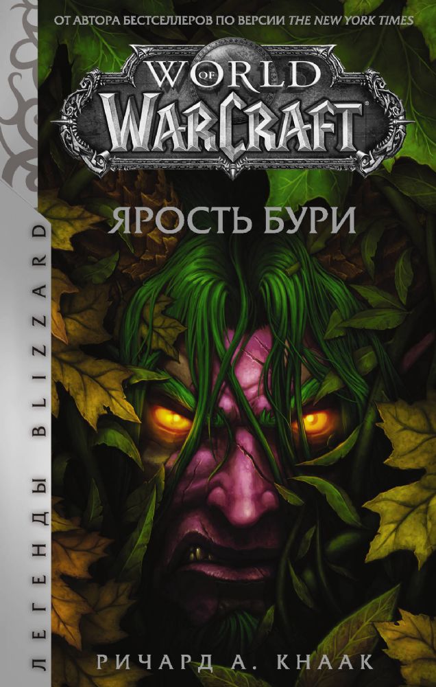 World of Warcraft: Ярость Бури