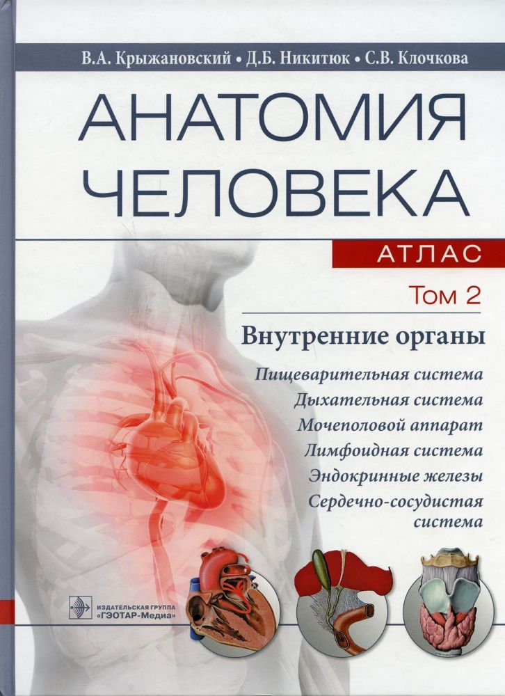 Анатомия человека.Т.2.Внутренние органы.В 3х томах