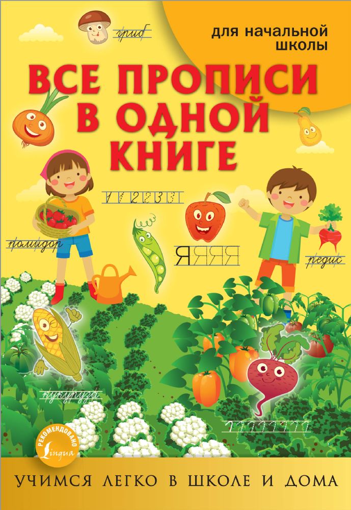 Все прописи в одной книге