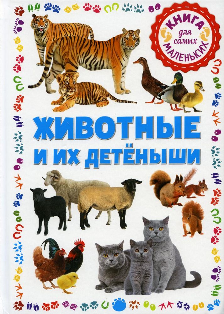 Животные и их детеныши. Книга для самых маленьких