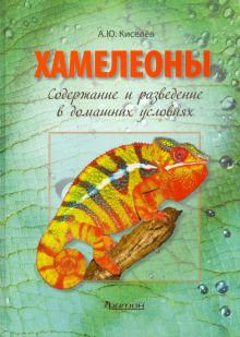 Хамелеоны:Содержание и разведение в домашних условиях