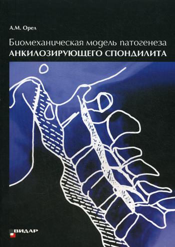 Биомеханическая модель патогенеза акилозирующего спондилита