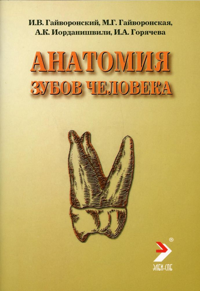 Анатомия зубов человека: Учебное пособие. 4-е изд., испр. и доп