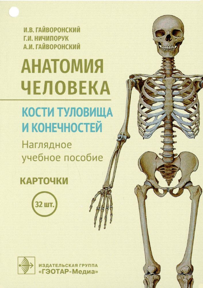 Анатомия человека.Кости туловища и конечностей.Нагляд.уч.пос.Карточки 32 шт.