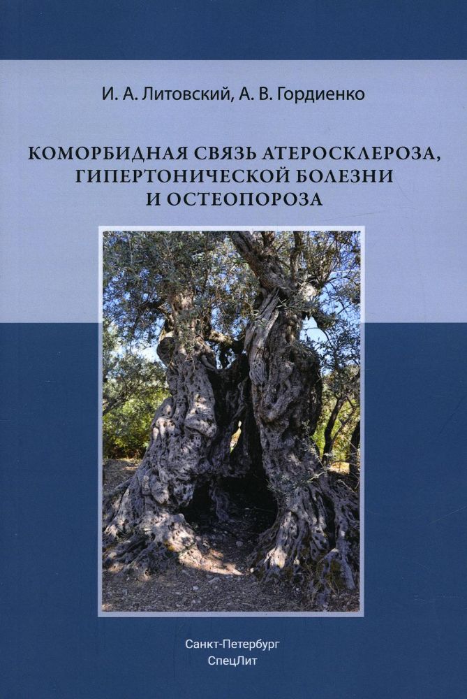 Коморбидная связь атеросклероза, гипертонической болезни  и остеопороза