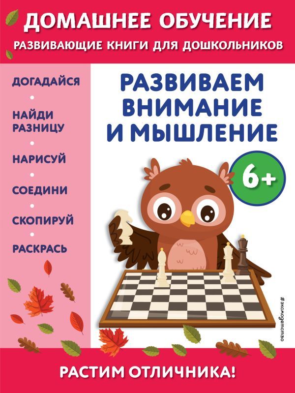 Развиваем внимание и мышление: для детей от 6 лет