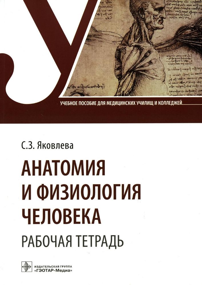 Анатомия и физиология человека. Рабочая тетрадь. Учебное пособие