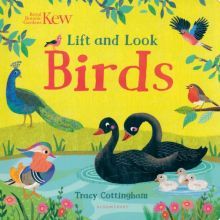 Kew: Lift and Look Birds