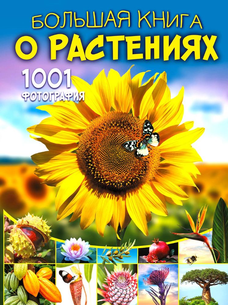 Большая книга о растениях. 1001 фотография