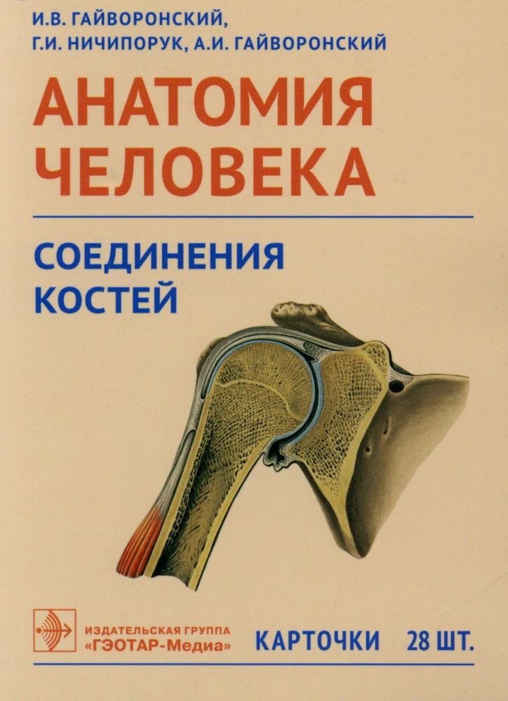 Анатомия человека. Соединения костей. Карточки: наглядное учебное пособие