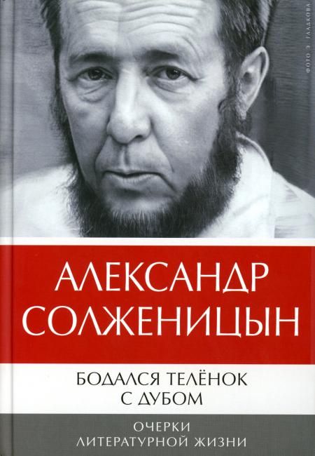 Бодался теленок с дубом: Очерки литературной жизни