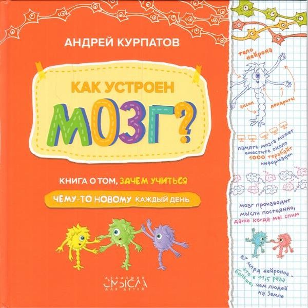 Как устроен мозг? Книга о том, зачем учиться чему-то новому каждый день