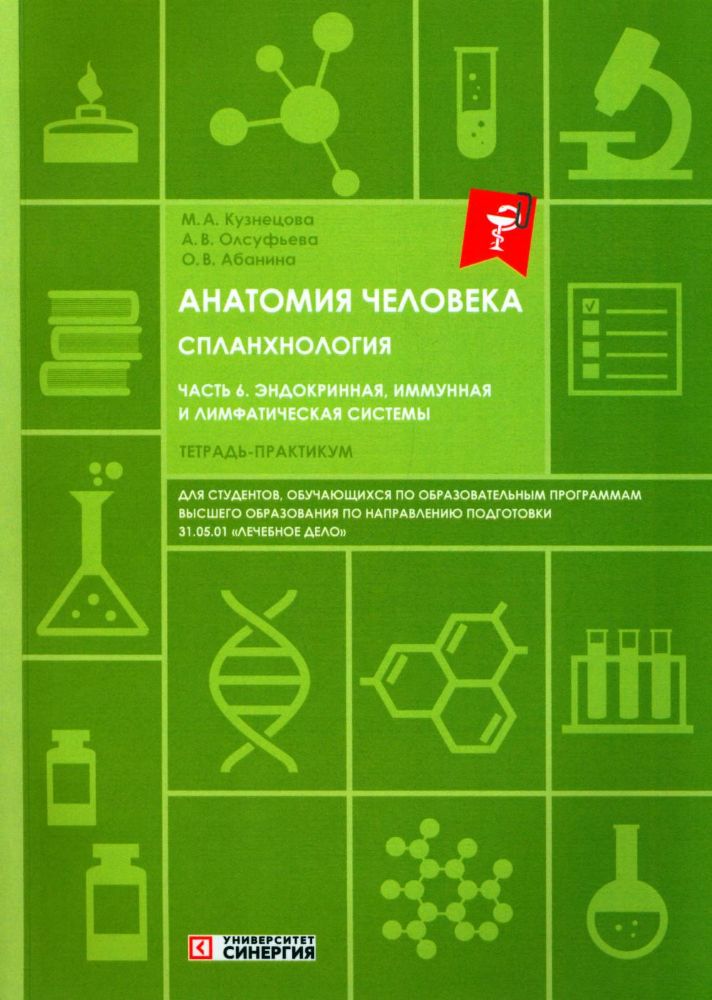 Анатомия человека: Спланхнология Ч. 6: Эндокринная система, иммунная и лимфатическая системы: Тетрадь-практикум