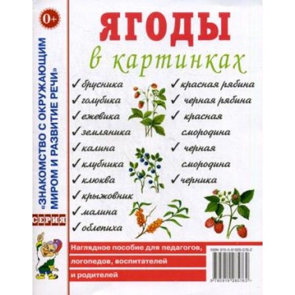 Ягоды в картинках. Наглядное пособие для педагогов, воспитателей, логопедов, родителей