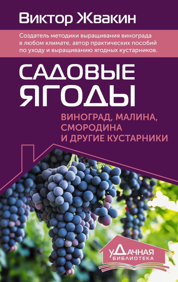 Садовые ягоды. Виноград, малина, смородина и другие кустарники